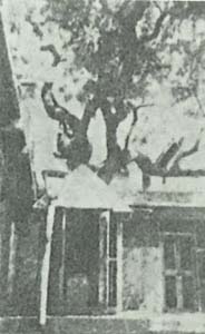 very old photograph of gurusthan
